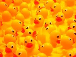 Duck Race